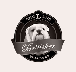 Bulldog Club logo design