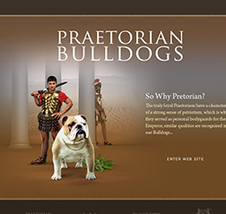 Shar Pei Breeder website design 